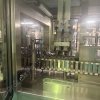 8580 Galdi Rg270 Carton Filling Line 4