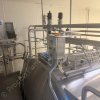 8596 Cheese Plant 11