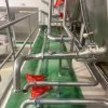 8596 Cheese Plant 17