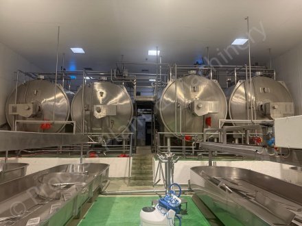 8596 Cheese Plant 18