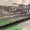 8596 Cheese Plant 2