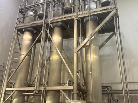 8596 Cheese Plant 27
