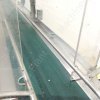 Belt Driven Conveyor