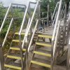 Stainless Steel Access Steps & Gantry